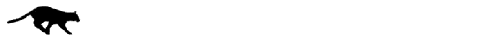 Catrun1.gif (14123 bytes)