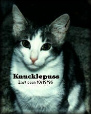 Knucklepuss was a great comfort to me when I had my eyes chopped up by some Las Vegas quack