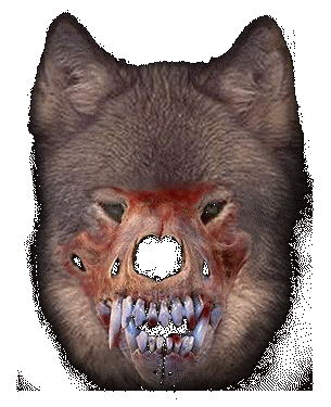 hellhound1.gif (52947 bytes)