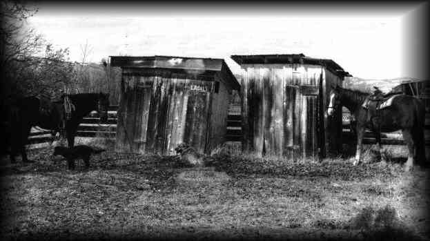 Click on pic to flush the out house of your choice